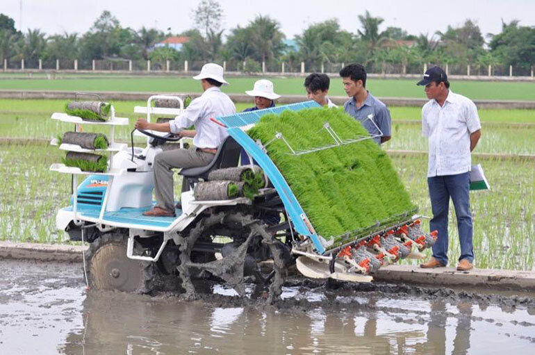 máy cấy lúa nhật bản kubota