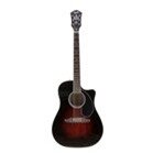 Acoustic Guitar Fender Wayne Krammer