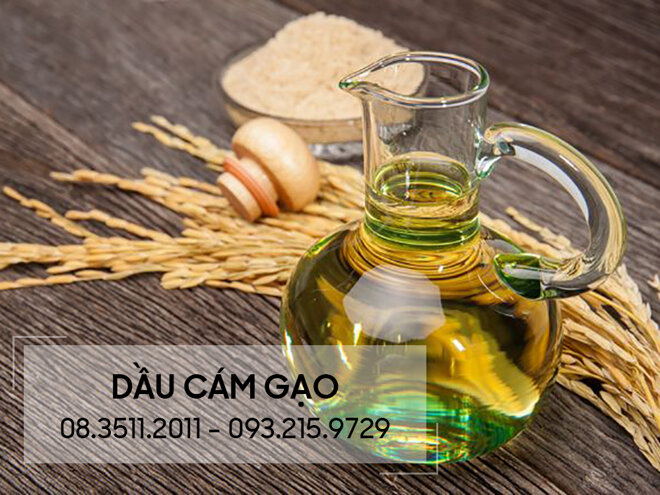 Tinh dầu cám gạo mang lại rất nhiều công dụng đối với sức khỏe và sắc đẹp