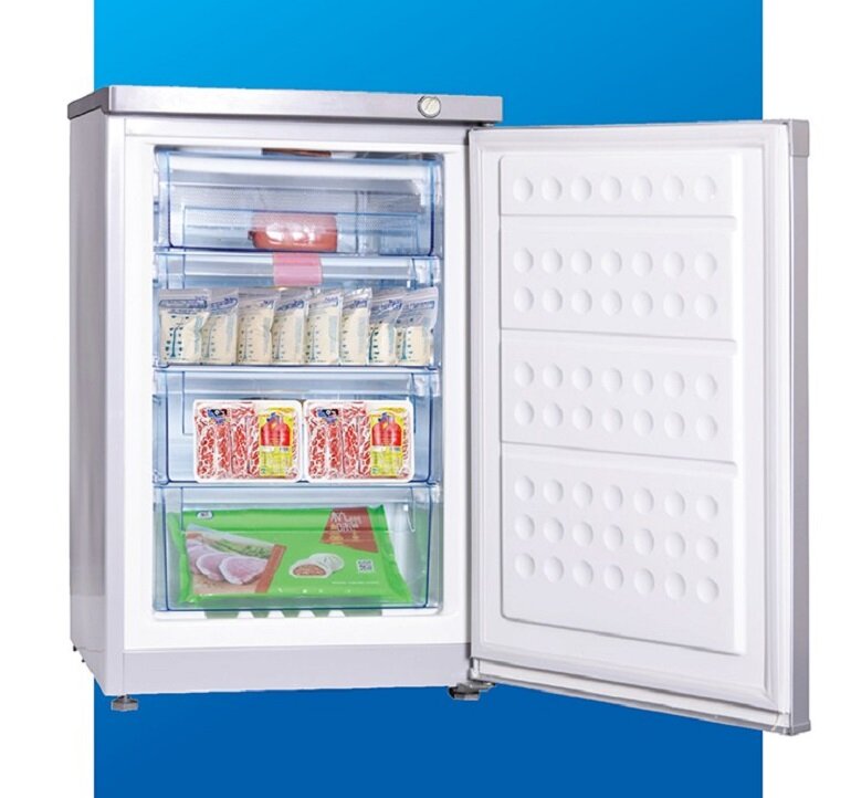 Tủ đông Hòa Phát 300SR1