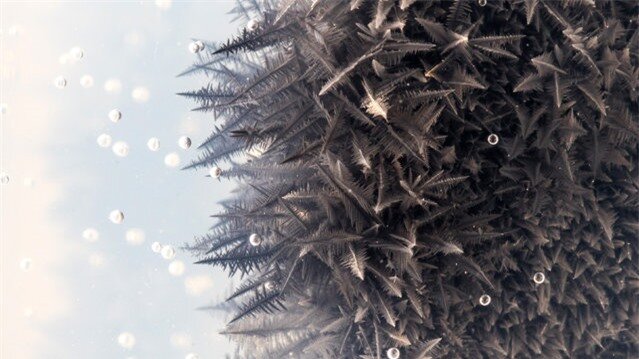 Zinc reacting with lead nitrate in a soft gel to form lead crystals. (Photo by Yan Liang/Caters News)