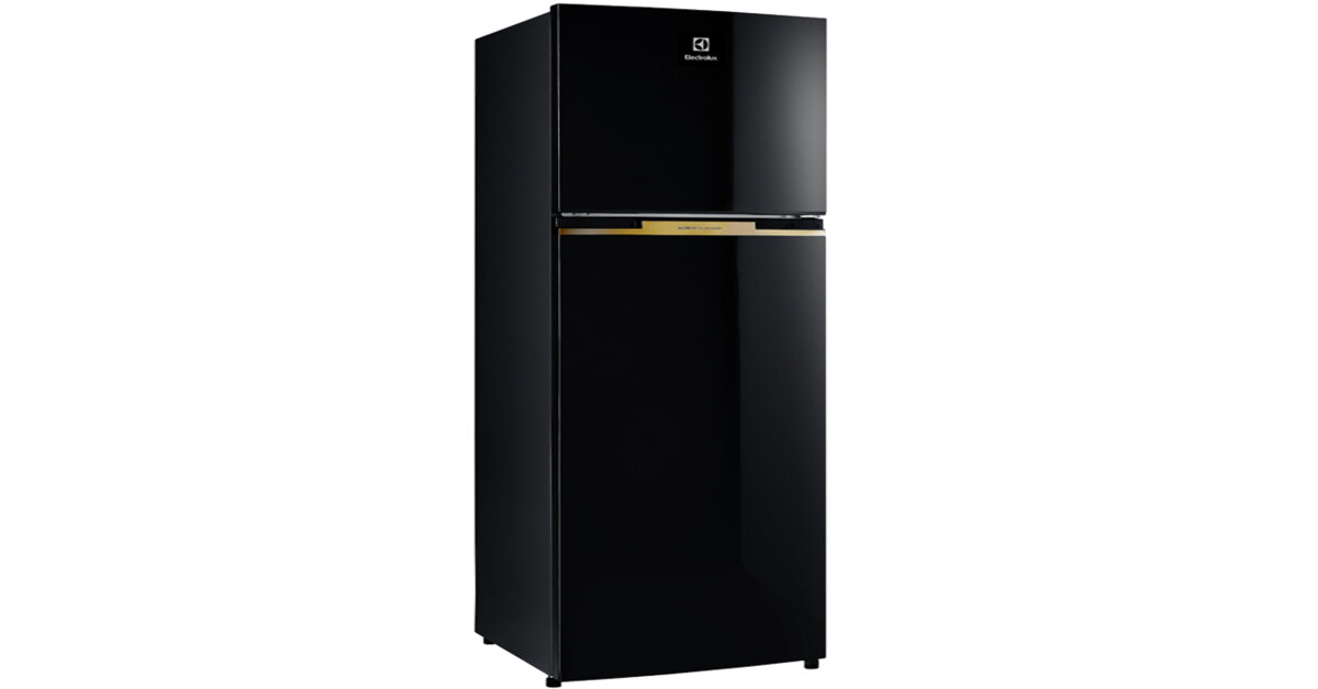 Có nên mua tủ lạnh Electrolux 350 lít ETB3700H-H không?