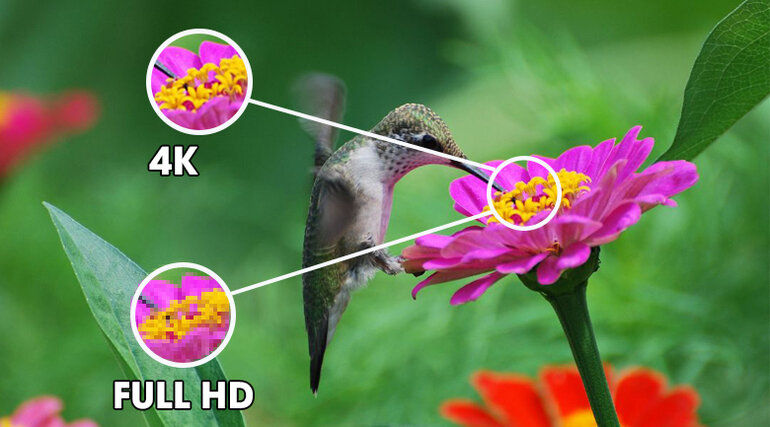 Sở hữu hơn 8,3 triệu điểm ảnh với độ phân giải Ultra HD 4k