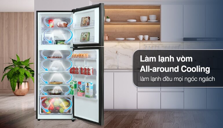 Tủ lạnh Samsung RT29K503JB1/SV là tủ lạnh nhập khẩu Thái 