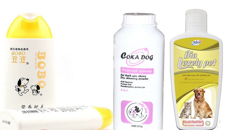 Top 3 effective deodorizing dog shower gels