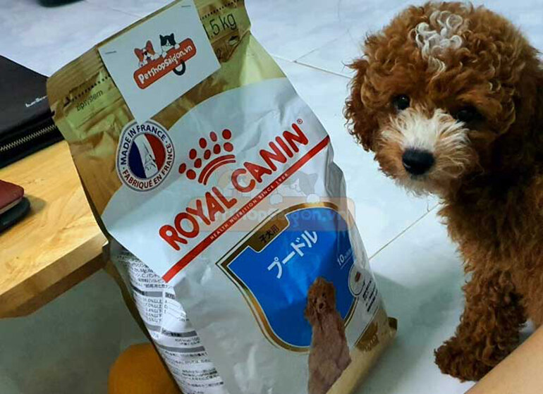 Royal Canin Poodle Puppy dog ​​food