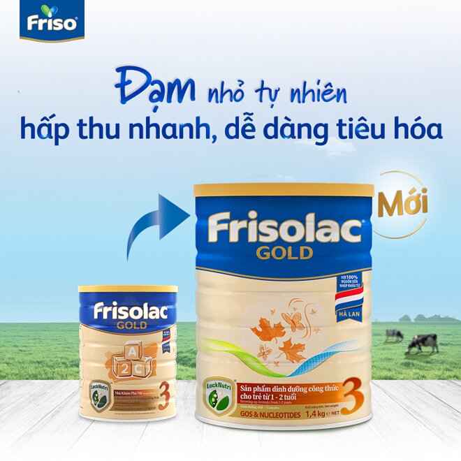 Sữa mát cho bé bị nóng trong Friso Gold