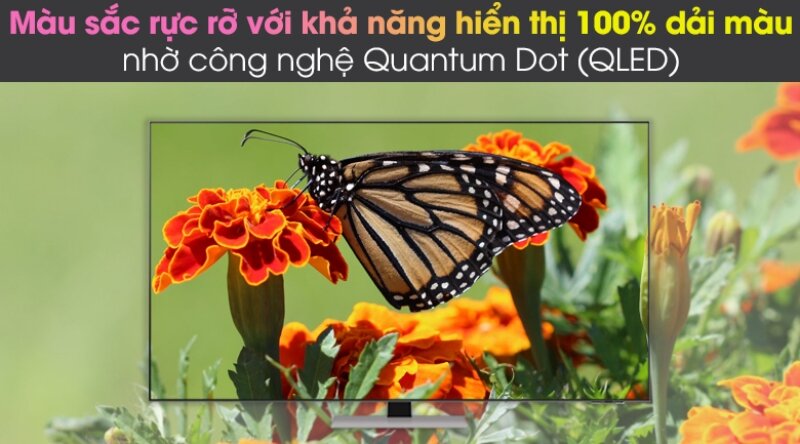 Trải nghiệm hình ảnh và âm thanh trên tivi Samsung QA75QN85A: Có nên mua hay không?