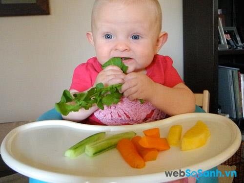 Phương pháp này cụ thể là cho bé ăn các loại thức ăn đặc ở dạng thô, mềm để bé tự bốc ăn thay vì ăn các loại thức ăn “truyền thống” vốn được xay, trộn thật nhuyễn