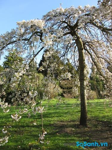 Ảnh chụp từ máy ảnh Canon PowerShot SX600 HS tại tiêu cự 25 mm, f/3.8, ISO 100 Ảnh chụp từ máy ảnh Canon PowerShot SX600 HS tại tiêu cự 25 mm, f/3.8, ISO 100