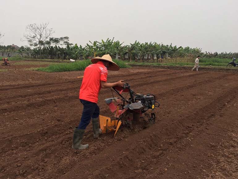 máy cày mini có tác dụng gì