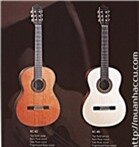 Đàn Guitar Classical Adonis BC-808286