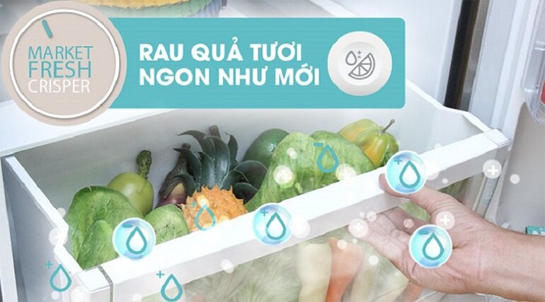 Tủ lạnh Electrolux EME3700H-H