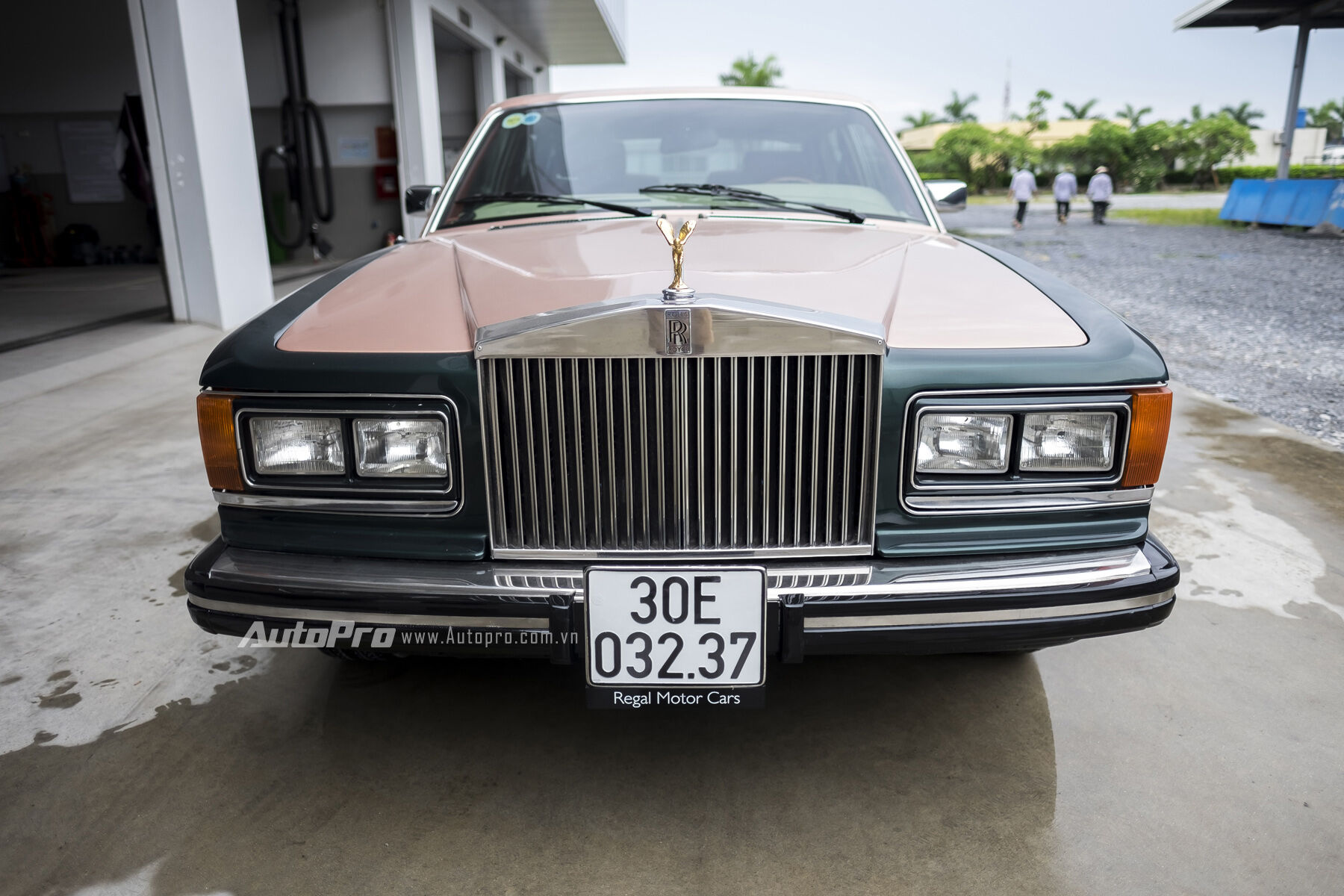  Nhìn từ phía trước, Rolls-Royce Silver Spirit 1982 vẫn giữ những đường nét đặc trưng của mình với lưới tản nhiệt được mô phỏng đền thờ Partheon danh tiếng và biểu tượng Spirit of Ecstasy ở đầu mũi xe. 