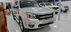Xe Ford Ranger Wildtrak 2.5L 4x4 MT 2010 - 335 Triệu