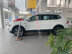 Xe Volkswagen Tiguan Elegance 2021 - 1 Tỷ 699 Triệu