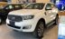 Bán xe FORD EVEREST 7 chỗ SUV màu Trắng