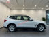 Xe BMW X3 xDrive20i 2020 - 2 Tỷ 29 Triệu