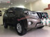 Xe Toyota Prado TXL 2.7L 2013 - 1 Tỷ 321 Triệu