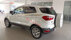 Xe Ford EcoSport Titanium 1.5L AT 2017 - 458 Triệu