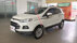 Xe Ford EcoSport Titanium 1.5L AT 2017 - 458 Triệu