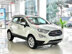 Xe Ford EcoSport Titanium 1.5 AT 2021 - 569 Triệu