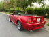 Xe Ford Mustang SVT Cobra 4.6 V8 MT 2000 - 1 Tỷ 800 Triệu