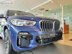 Xe BMW X5 xDrive40i xLine 2021 - 3 Tỷ 972 Triệu