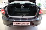 VW Passat Bluemotion cao cấp nhập Đức Giao ngay