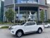 Nissan Navara 2019 Tự động