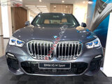 Xe BMW X5 xDrive40i xLine 2021 - 4 Tỷ 499 Triệu