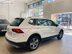 Xe Volkswagen Tiguan Luxury S 2020 - 1 Tỷ 869 Triệu