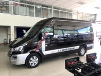 Xe Hyundai Solati H350 2.5 MT 2018 - 929 Triệu