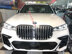 Xe BMW X7 xDrive40i M Sport 2019 - 6 Tỷ 300 Triệu