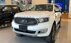 Bán xe FORD EVEREST 7 chỗ SUV màu Trắng