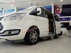 Xe Ford Tourneo Limousine 2.0 AT 2021 - 1 Tỷ 669 Triệu