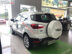 Xe Ford EcoSport Titanium 1.0 EcoBoost 2020 - 661 Triệu