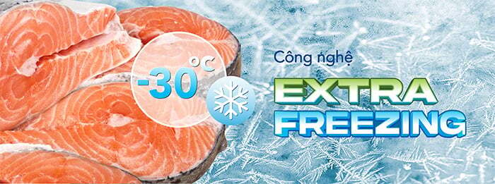 Tủ tích hợp công nghệ Extra Freezing Tủ đông Hòa Phát Inverter HPF BD8245
