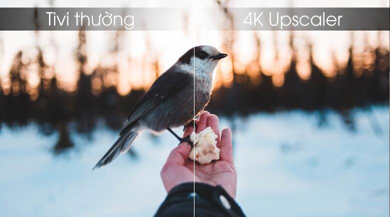 Smart Tivi LED LG 65 inch 65UM7400PTA, 4K UHD, HDR