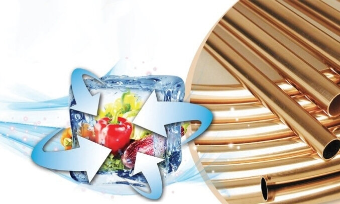 Tủ đông kháng khuẩn Kangaroo 286 lít KGFZ399IC1 dàn lạnh đồng nguyên chất