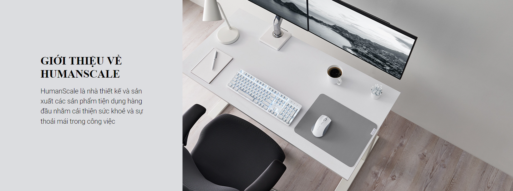 Chuột không dây Razer Pro Click Humanscale (USB/Led trắng) (RZ01-02990100-R3M1) 2