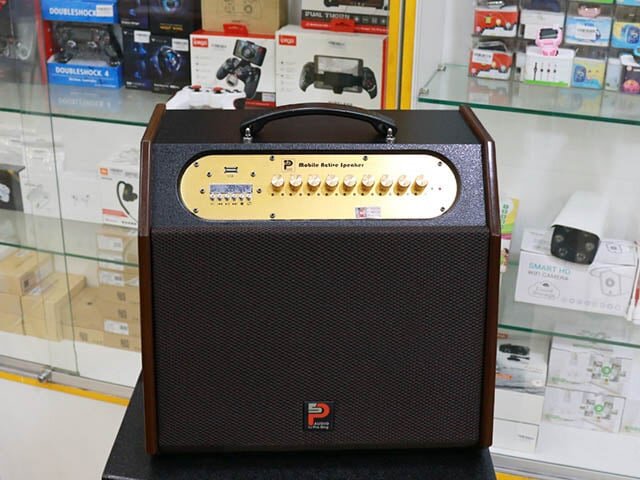 Loa di động Karaoke 