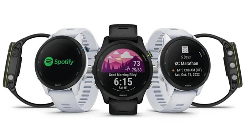 Garmin Forerunner 255 Music tính năng theo dõi sức khỏe