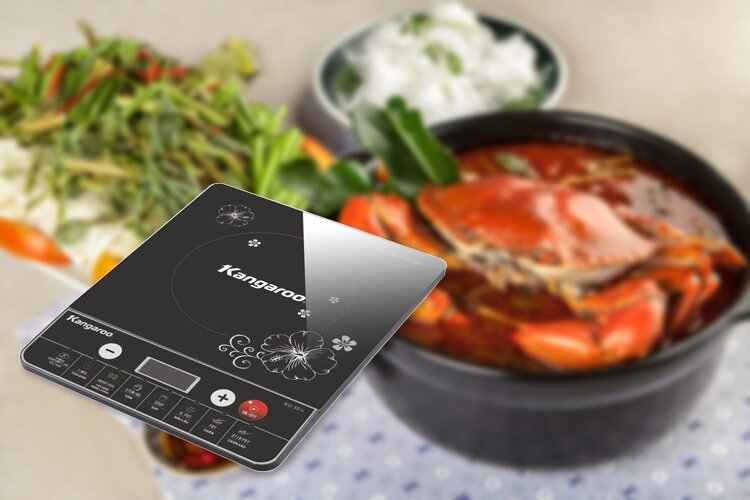 bếp từ kangaroo kg351i
