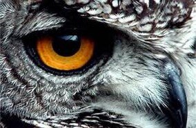 Tivi 3D LED LG 42LB620T 42 inch Tivi 3D LED LG 42LB620T 42 inch