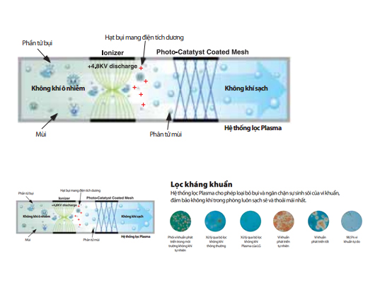 Điều hòa LG 2 chiều 24.000BTU HPH246SLA0