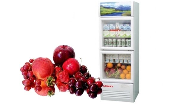 Tủ mát Sanaky 218L VH - 218W