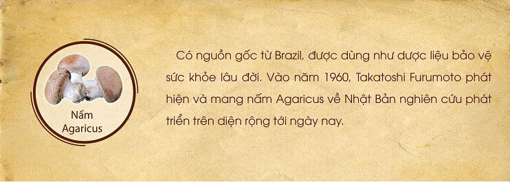 Thực phẩm chức năng bảo vệ sức khỏe Beta Glucan Ball 60g - Khắc tinh tế bào ung thư