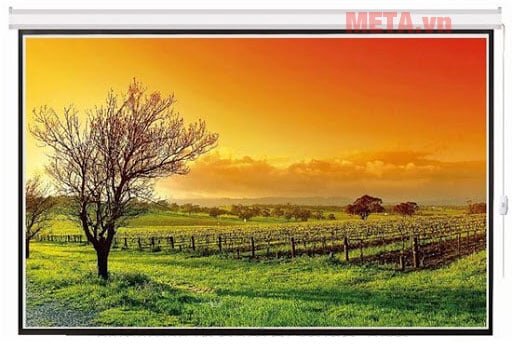 Hình ảnh màn chiếu văn phòng 200 inch