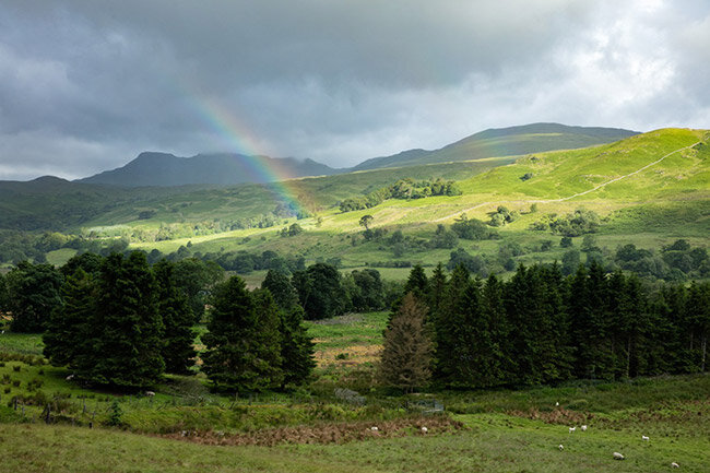 Apple iPhone Xs 256GB Chính hãng VN/A
